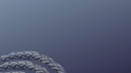 LARIZA – Marionette